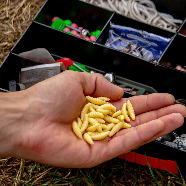 Köderbox mit Forellenteig, Spoons und Maden