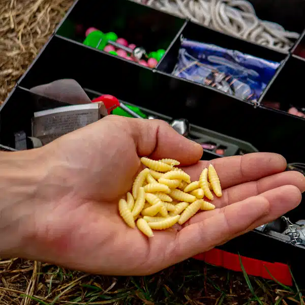 Köderbox mit Forellenteig, Spoons und Maden