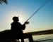Beliebte Köder fürs Nachtangeln – Gummifische für Zander und Boilies für Karpfen