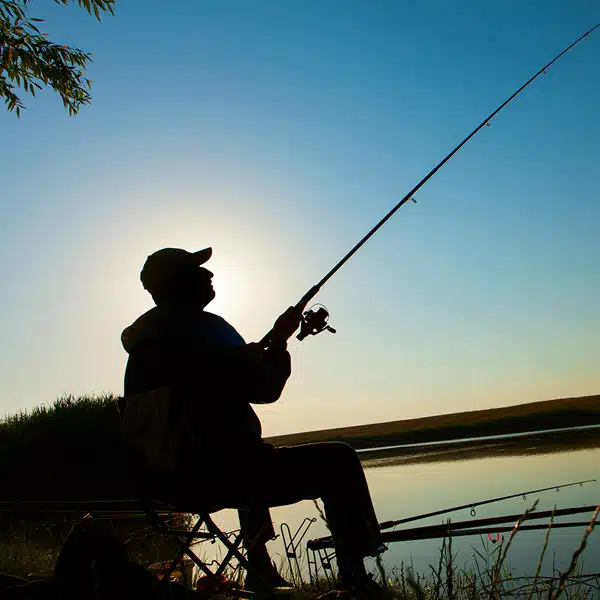 Beliebte Köder fürs Nachtangeln – Gummifische für Zander und Boilies für Karpfen