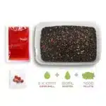 Pellet Box Delphin Reaxe Lachs Krebs – Method Feeder Set Inhalt